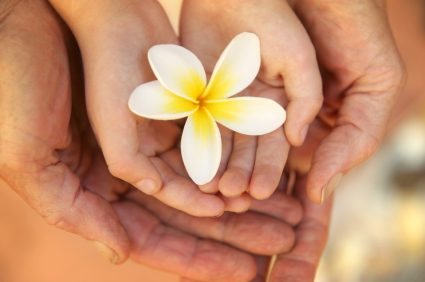 Hands holding a flower, generational planning